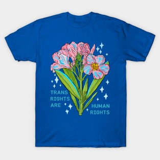 Trans Rights Are Human Rights T-Shirt